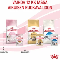 Royal Canin Kissan Märkäruoka|Kissanpennun Ruoka*Kitten Jelly, 12x85g