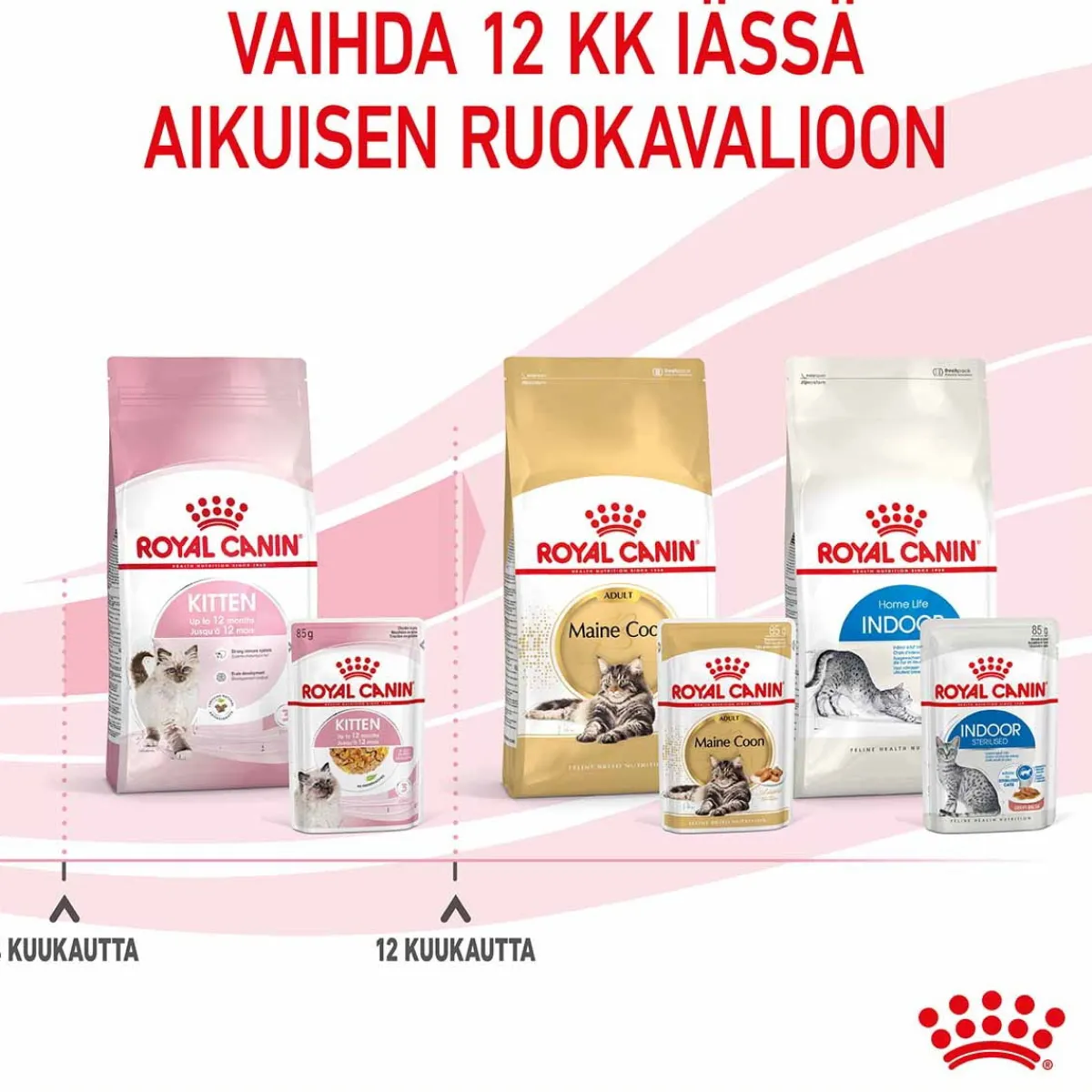 Royal Canin Kissan Märkäruoka|Kissanpennun Ruoka*Kitten Jelly, 12x85g