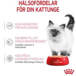 Royal Canin Kissan Märkäruoka*Kitten Loaf 85g, 48-pack