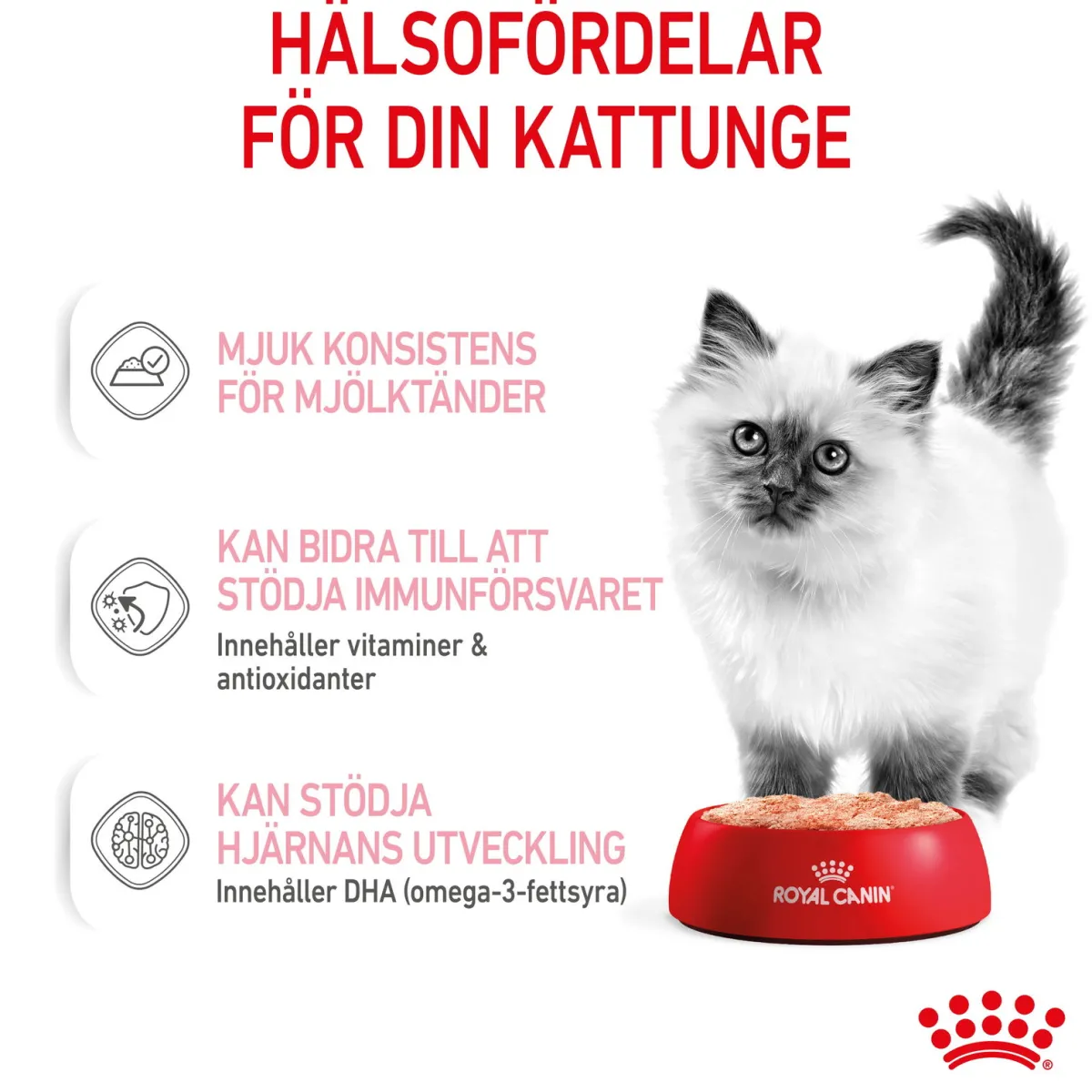 Royal Canin Kissan Märkäruoka*Kitten Loaf 85g, 48-pack