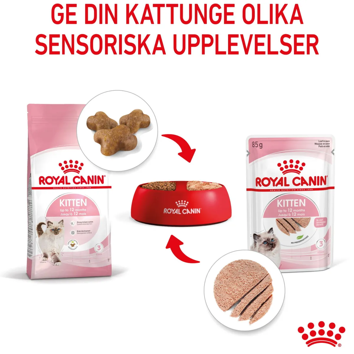 Royal Canin Kissan Märkäruoka*Kitten Loaf 85g, 48-pack