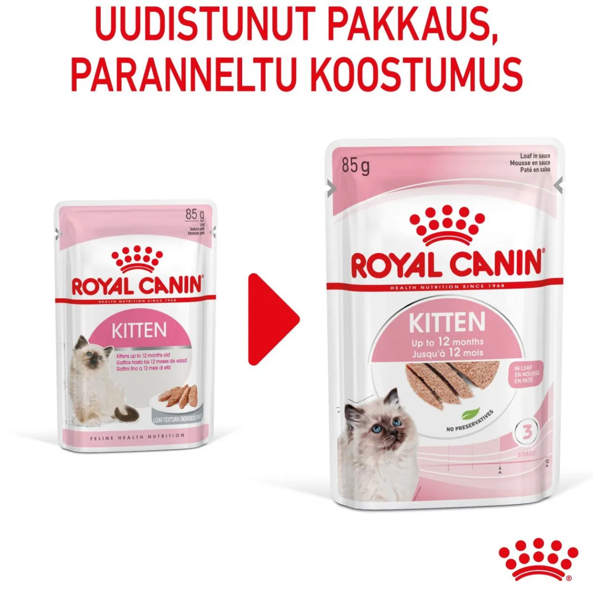 Royal Canin Kissan Märkäruoka*Kitten Loaf 85g, 48-pack