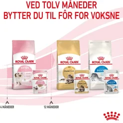 Royal Canin Kissan Märkäruoka*Kitten Loaf 85g, 48-pack