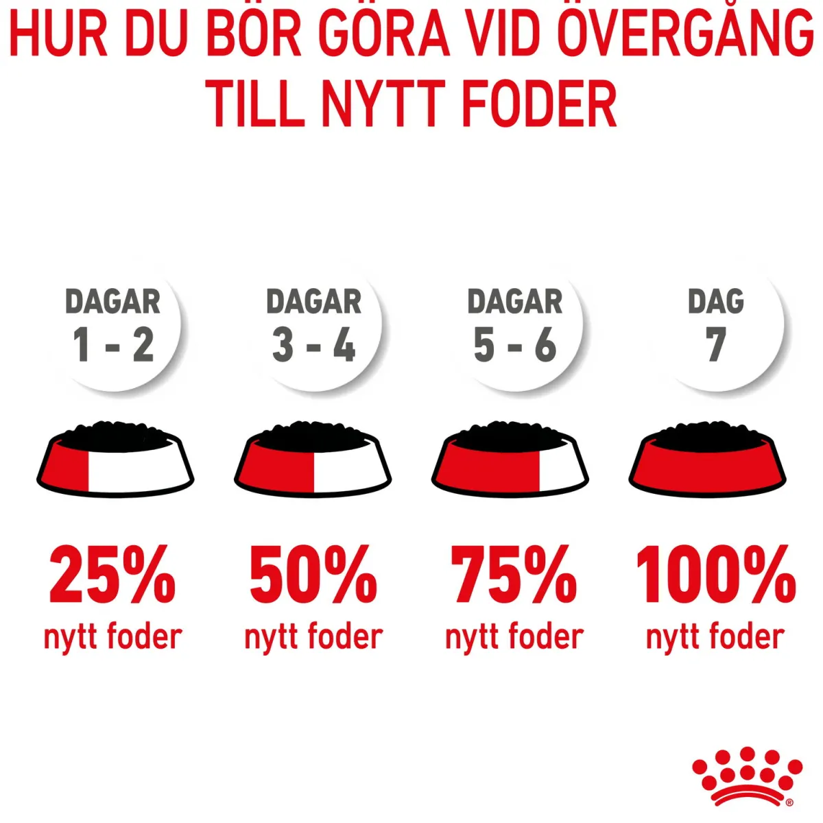 Royal Canin Kissan Märkäruoka*Kitten Loaf 85g, 48-pack