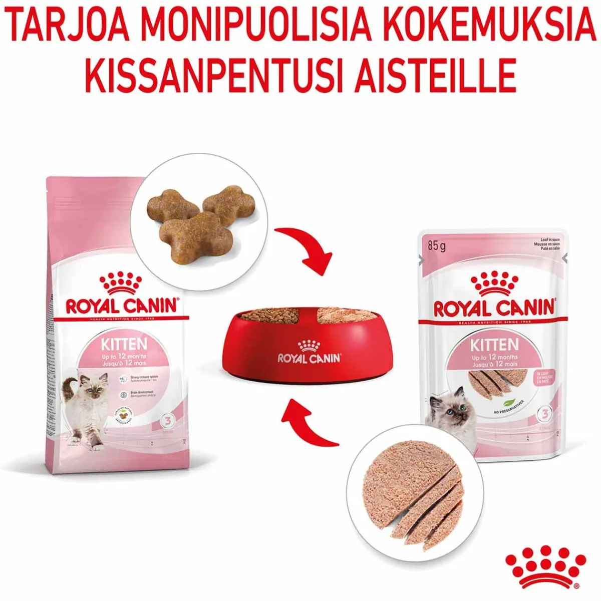 Royal Canin Kissanpennun Ruoka|Kissanpennun Ruoka*Kitten Loaf, 12x85g