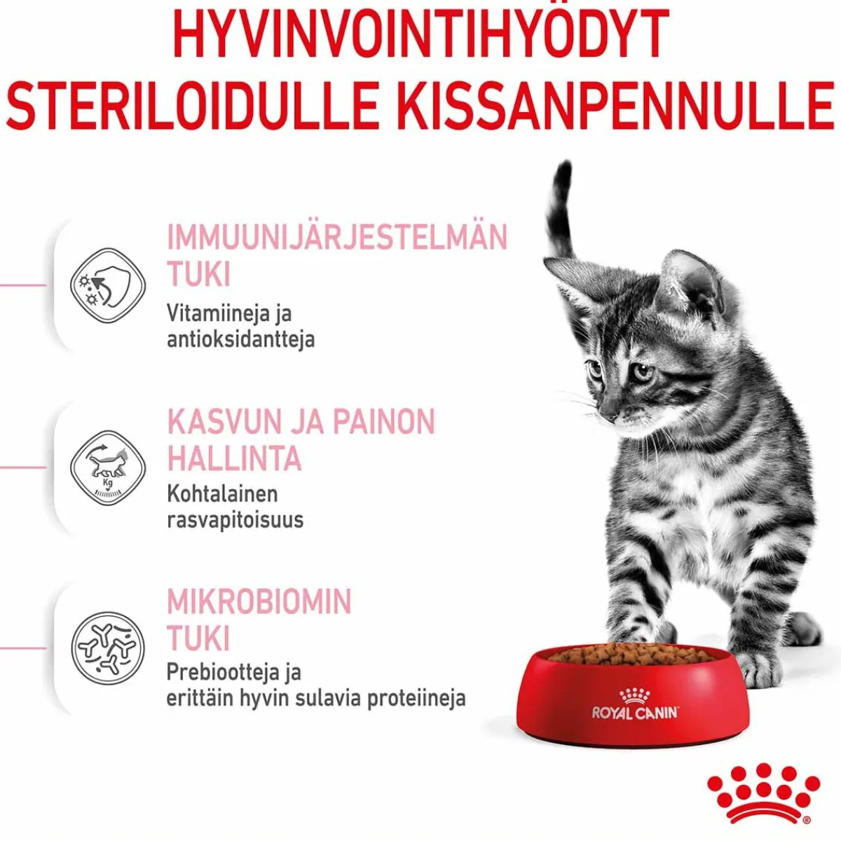 Royal Canin Kissanpennun Ruoka|Kissanpennun Ruoka*Kitten Sterilised