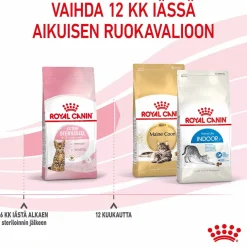Royal Canin Kissanpennun Ruoka|Kissanpennun Ruoka*Kitten Sterilised