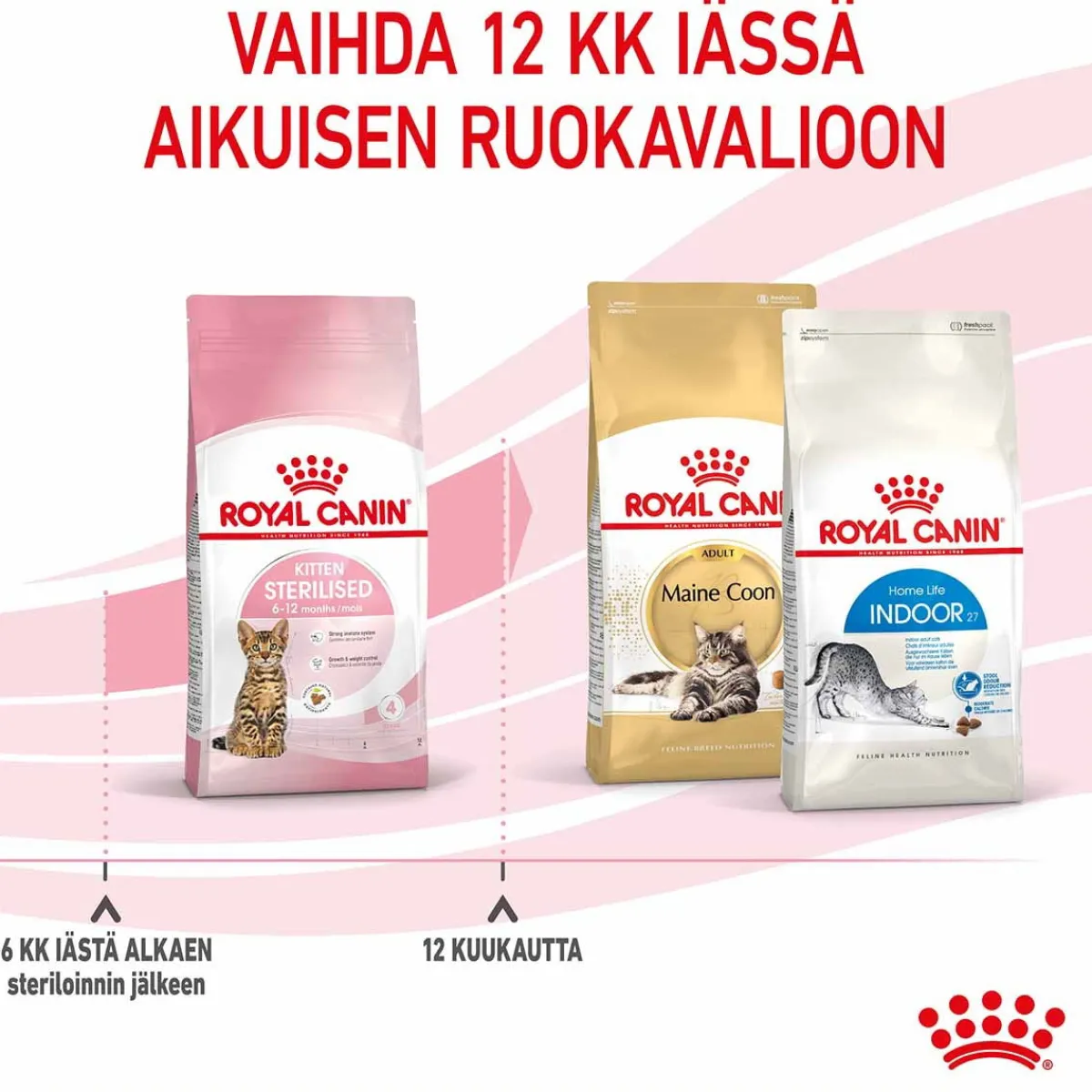 Royal Canin Kissanpennun Ruoka|Kissanpennun Ruoka*Kitten Sterilised
