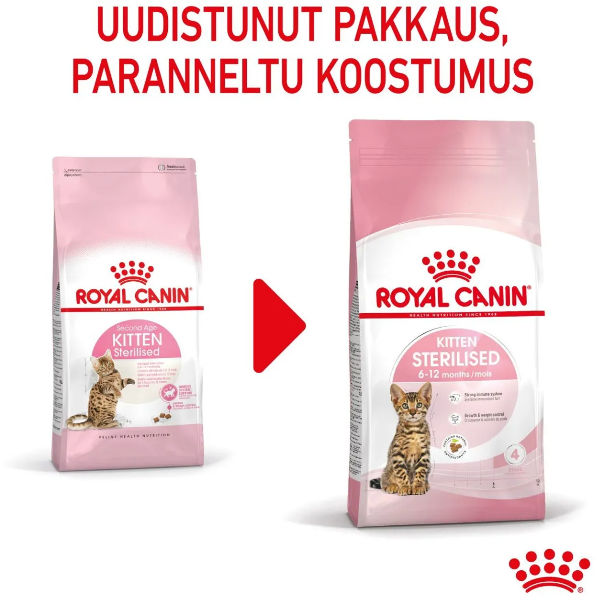 Royal Canin Kissanpennun Ruoka|Kissanpennun Ruoka*Kitten Sterilised