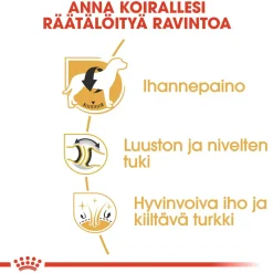 Royal Canin Koiran Kuivaruoka|Tarjoukset Koirille*Labrador Retriever Adult 12 kg