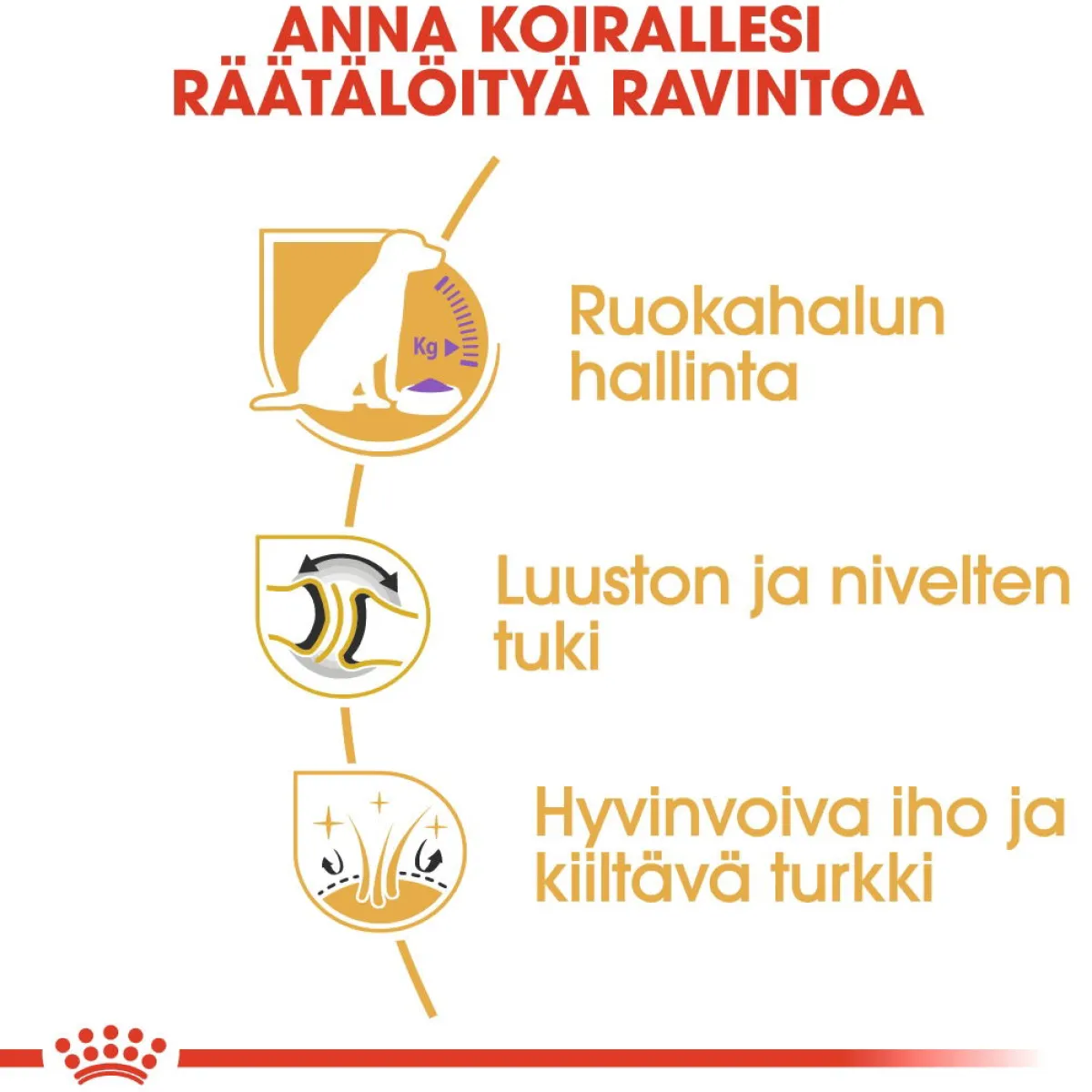 Royal Canin Koiranruoat Erityistapeisiin|Koiran Kuivaruoka*Labrador Retriever Sterilised 12 kg