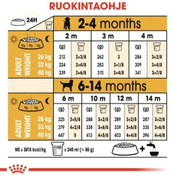 Royal Canin Penturuoka|Koiran Kuivaruoka*Labrador Retriever Puppy 12 kg