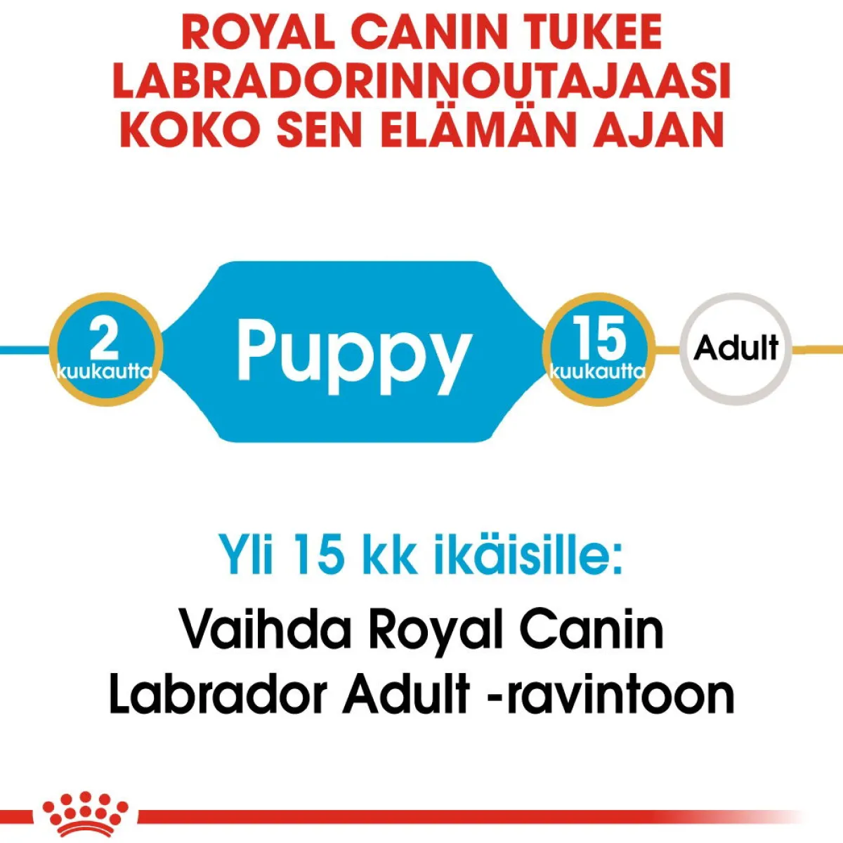 Royal Canin Penturuoka|Koiran Kuivaruoka*Labrador Retriever Puppy 12 kg