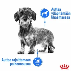 Royal Canin Koiranruoat Erityistapeisiin|Koiran Kuivaruoka*Light Weight Care X-Small 1,5 kg