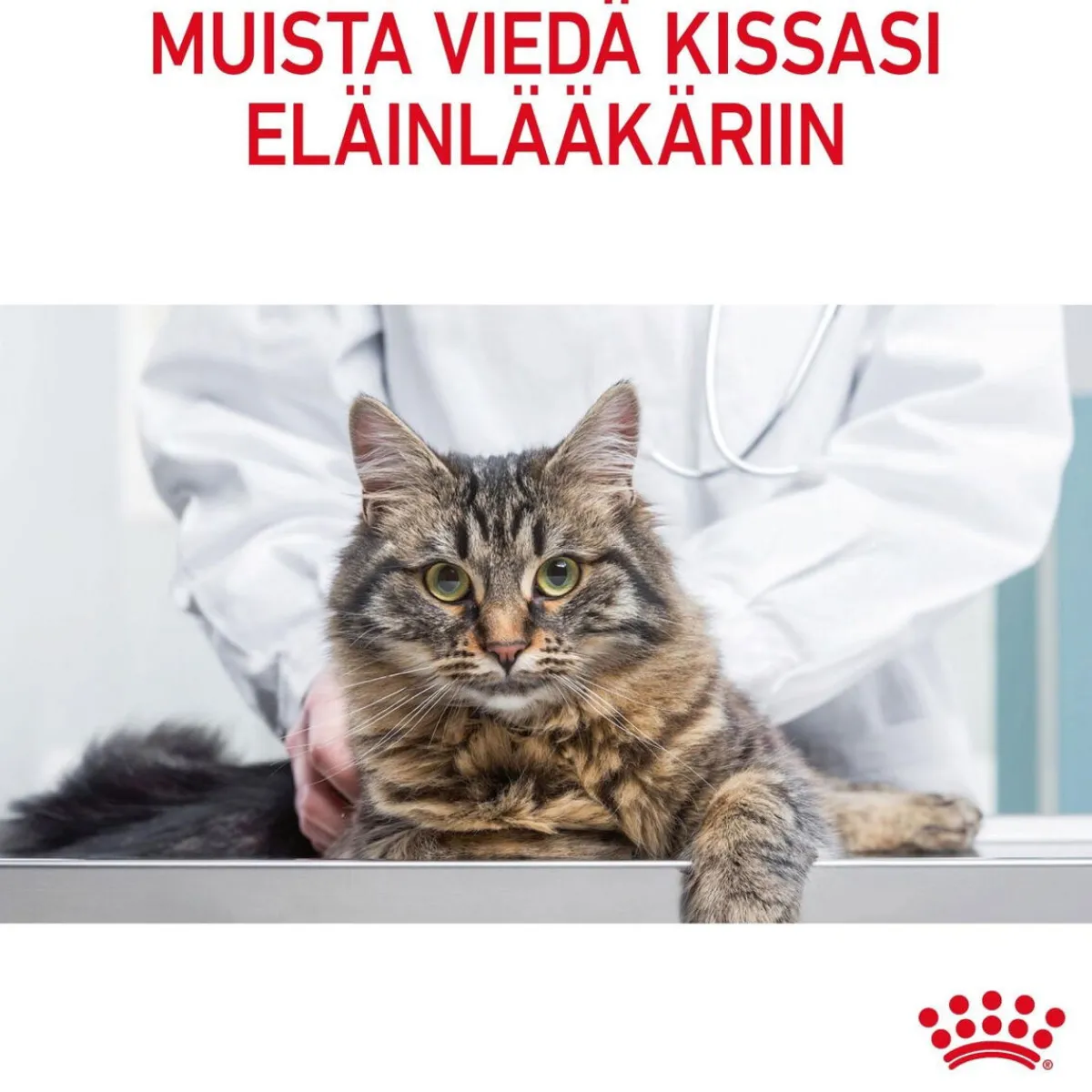 Royal Canin Kissan Märkäruoka|Vähärasvainen Kissanruoka*Light Weight Care Gravy, 12 x 85 g