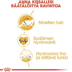 Royal Canin Tarjoukset Kissoille|Kissan Kuivaruoka*Maine Coon Adult