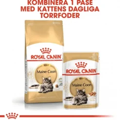 Royal Canin Kissan Märkäruoka*Maine Coon 85g, 48-pack