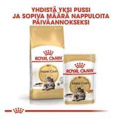 Royal Canin Kissan Märkäruoka*Maine Coon 85g, 48-pack