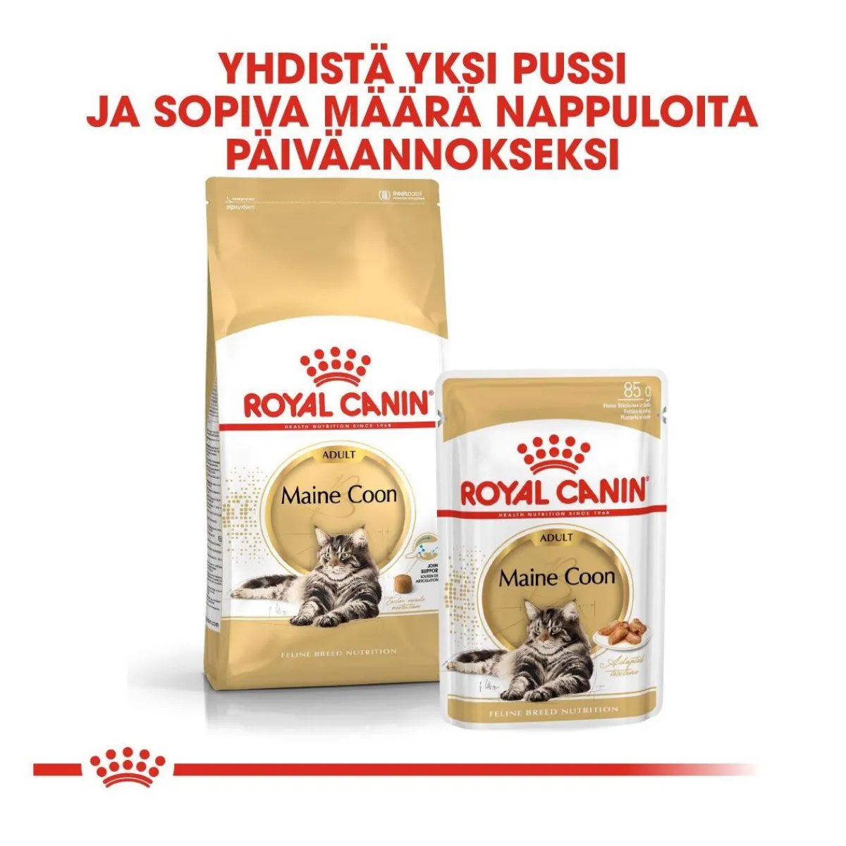 Royal Canin Kissan Märkäruoka*Maine Coon 85g, 48-pack