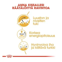 Royal Canin Kissan Märkäruoka*Maine Coon 85g, 48-pack