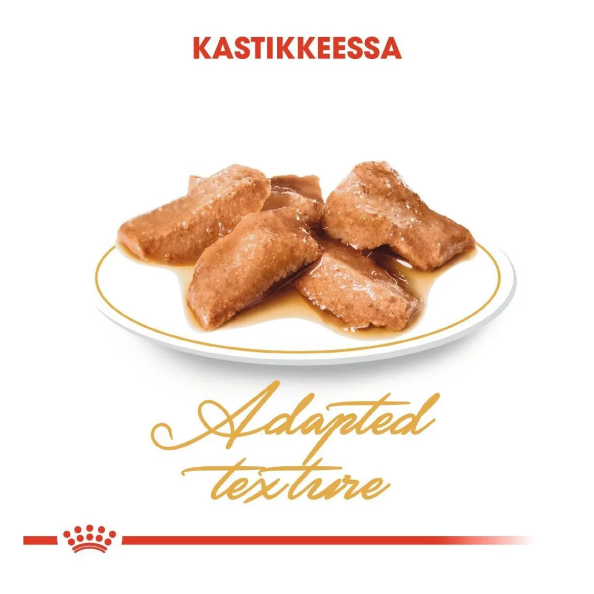 Royal Canin Kissan Märkäruoka*Maine Coon 85g, 48-pack