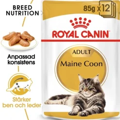 Royal Canin Kissan Märkäruoka*Maine Coon 85g, 48-pack