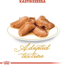 Royal Canin Kissan Märkäruoka|Tarjoukset Kissoille*Maine Coon Wet 12 x 85 g