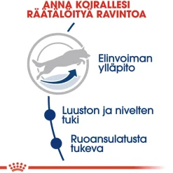 Royal Canin Koiran Kuivaruoka|Senioriruoka*Maxi Adult 5+