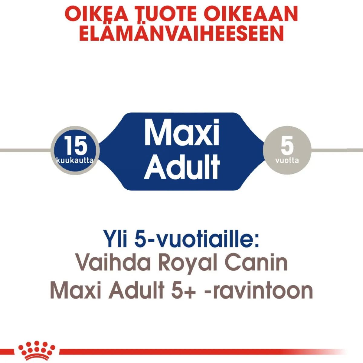 Royal Canin Koiran Kuivaruoka*Maxi Adult
