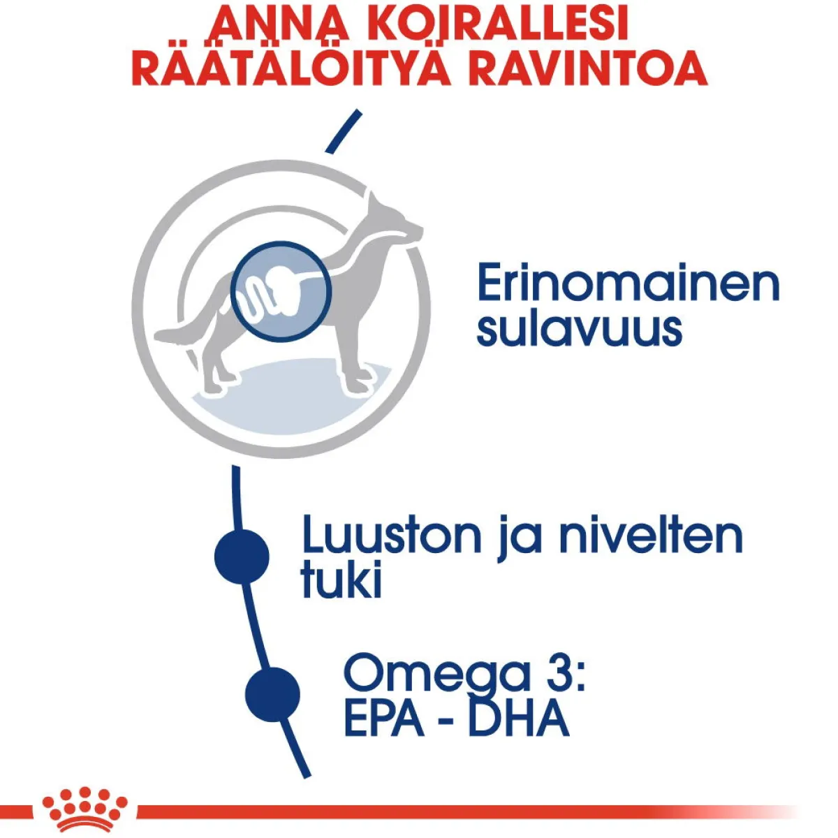 Royal Canin Koiran Kuivaruoka*Maxi Adult