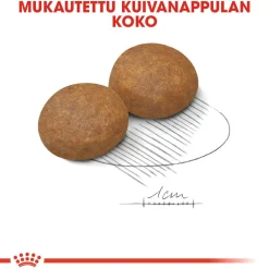 Royal Canin Koiran Kuivaruoka*Maxi Adult 5+ 2 x 15kg