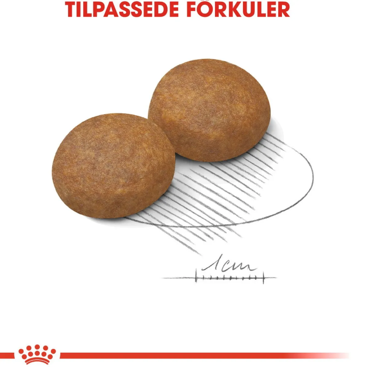 Royal Canin Koiran Kuivaruoka*Maxi Adult 5+ 2 x 15kg