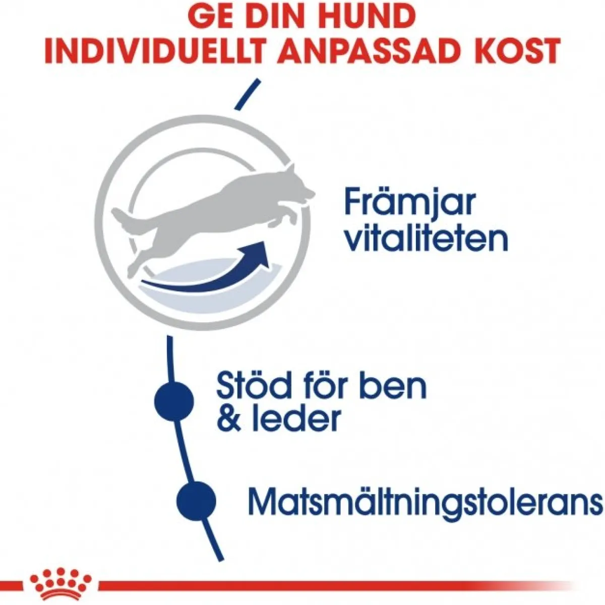 Royal Canin Koiran Kuivaruoka*Maxi Adult 5+ 2 x 15kg