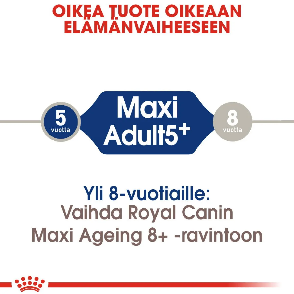 Royal Canin Koiran Kuivaruoka*Maxi Adult 5+ 2 x 15kg