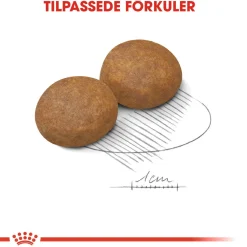 Royal Canin Koiran Kuivaruoka*Maxi Adult 5+ 2 x 15kg