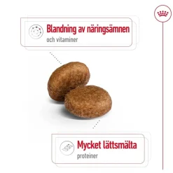 Royal Canin Koiran Kuivaruoka*Maxi Adult 5+ 2 x 15kg