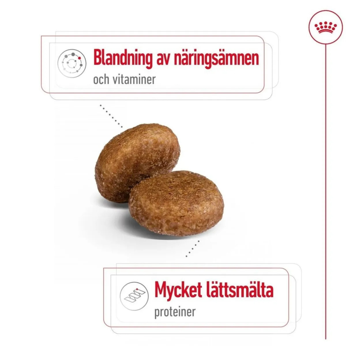 Royal Canin Koiran Kuivaruoka*Maxi Adult 5+ 2 x 15kg