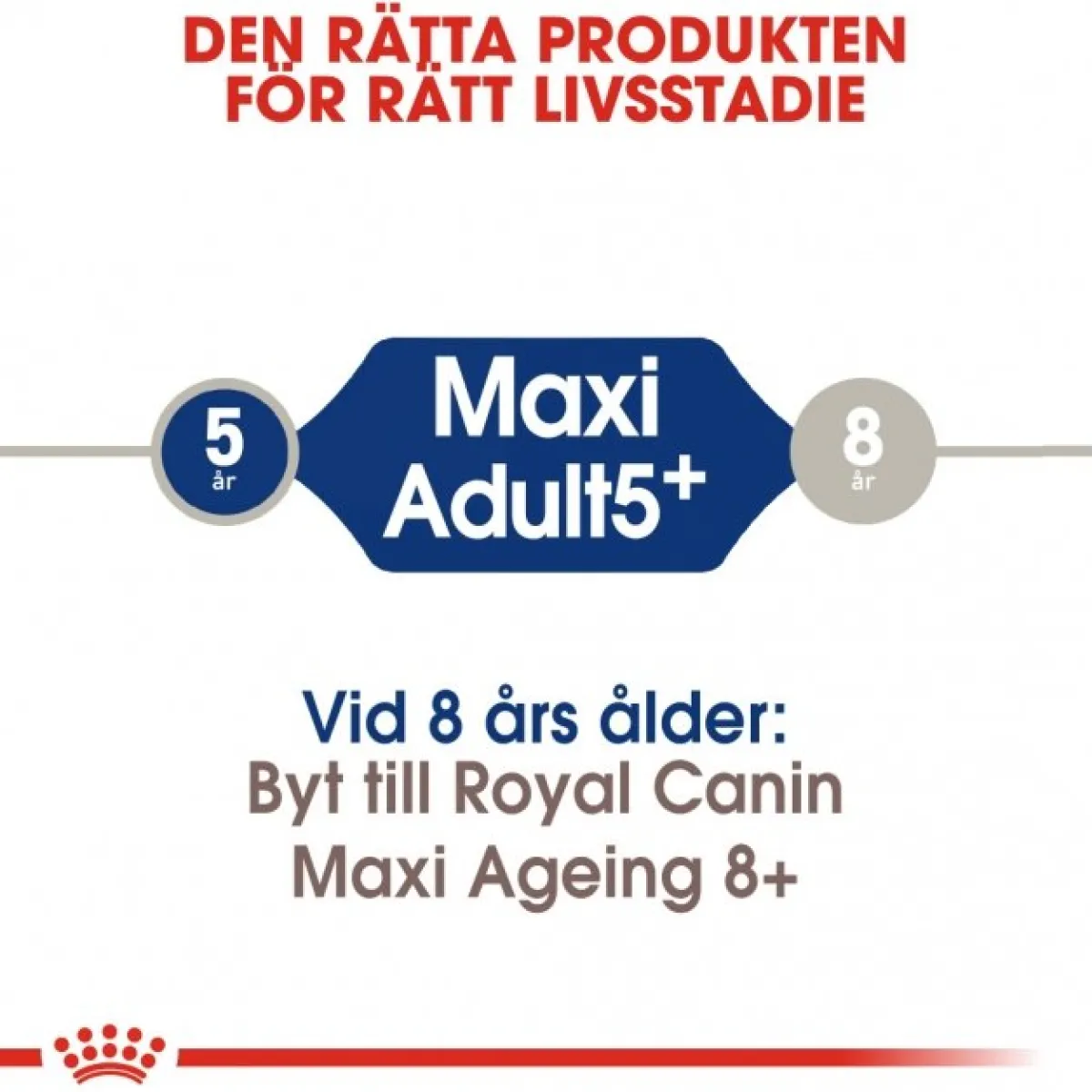 Royal Canin Koiran Kuivaruoka*Maxi Adult 5+ 2 x 15kg