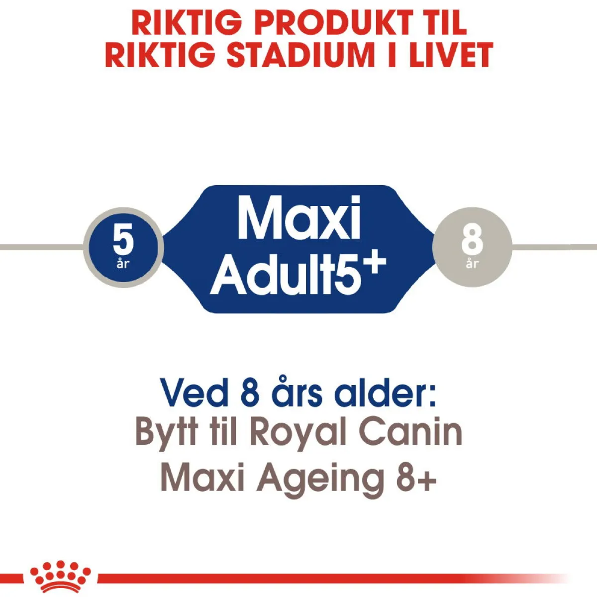 Royal Canin Koiran Kuivaruoka*Maxi Adult 5+ 2 x 15kg