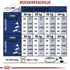 Royal Canin Koiran Kuivaruoka*Maxi Adult 2 x 15 kg