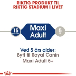 Royal Canin Koiran Kuivaruoka*Maxi Adult 2 x 15 kg