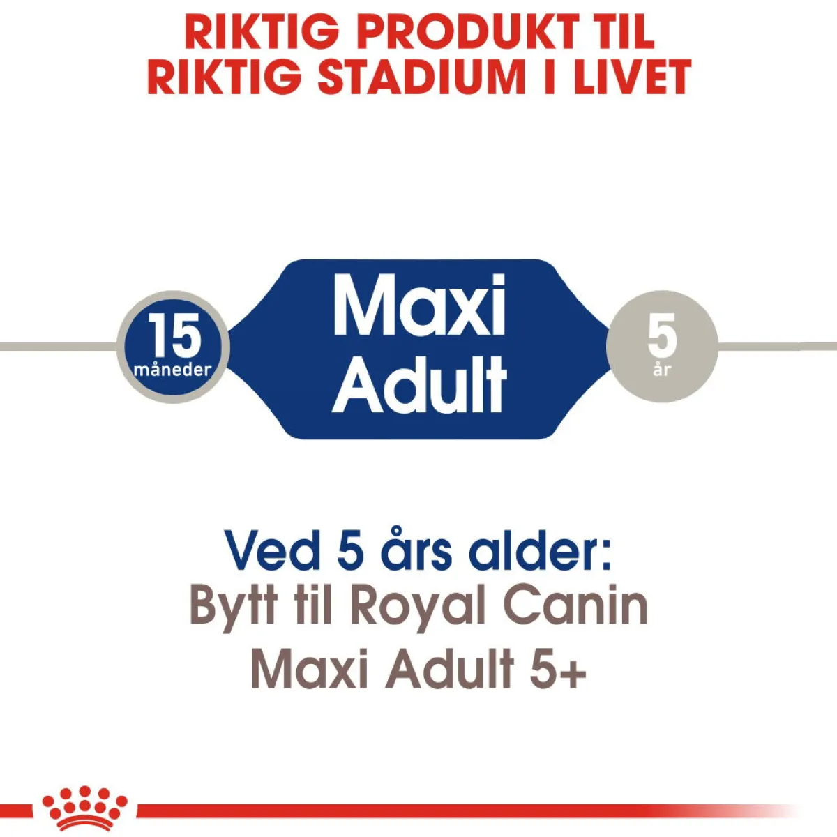 Royal Canin Koiran Kuivaruoka*Maxi Adult 2 x 15 kg