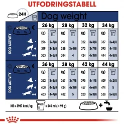 Royal Canin Koiran Kuivaruoka*Maxi Adult 2 x 15 kg