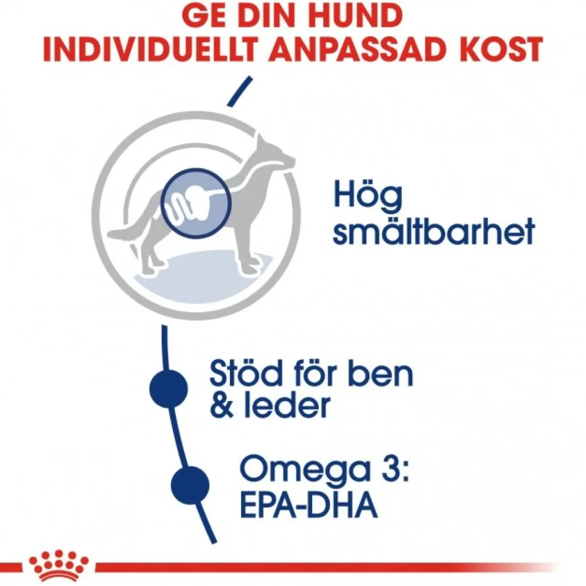 Royal Canin Koiran Kuivaruoka*Maxi Adult 2 x 15 kg