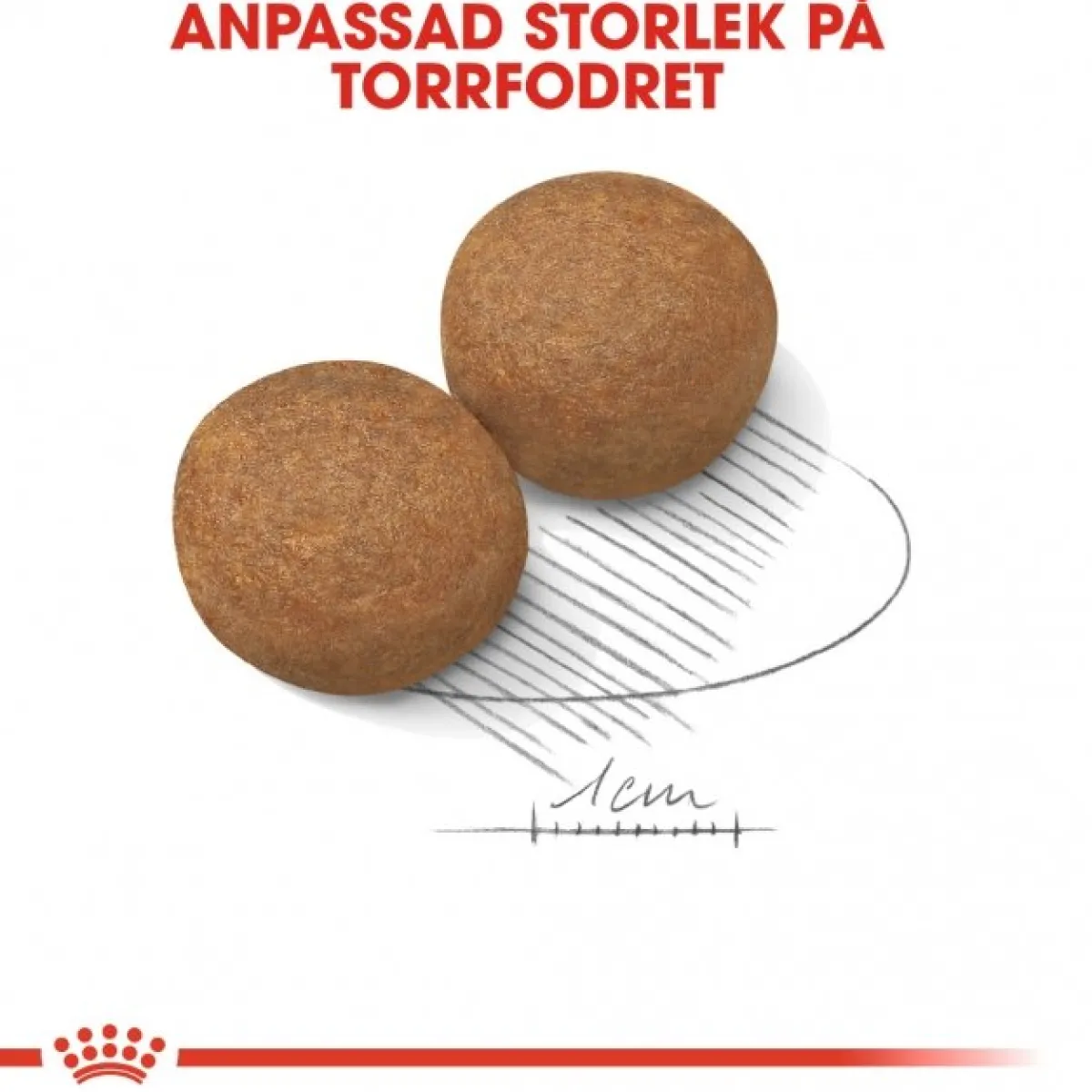 Royal Canin Koiran Kuivaruoka*Maxi Adult 2 x 15 kg