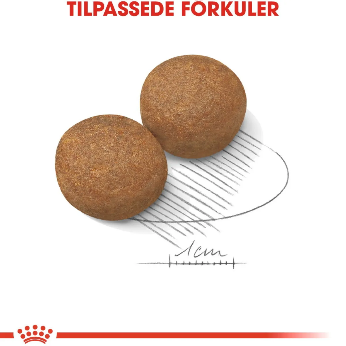 Royal Canin Koiran Kuivaruoka*Maxi Adult 2 x 15 kg