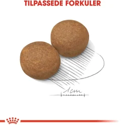 Royal Canin Koiran Kuivaruoka*Maxi Adult 2 x 15 kg