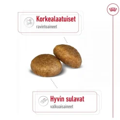 Royal Canin Koiran Kuivaruoka*Maxi Adult 2 x 15 kg