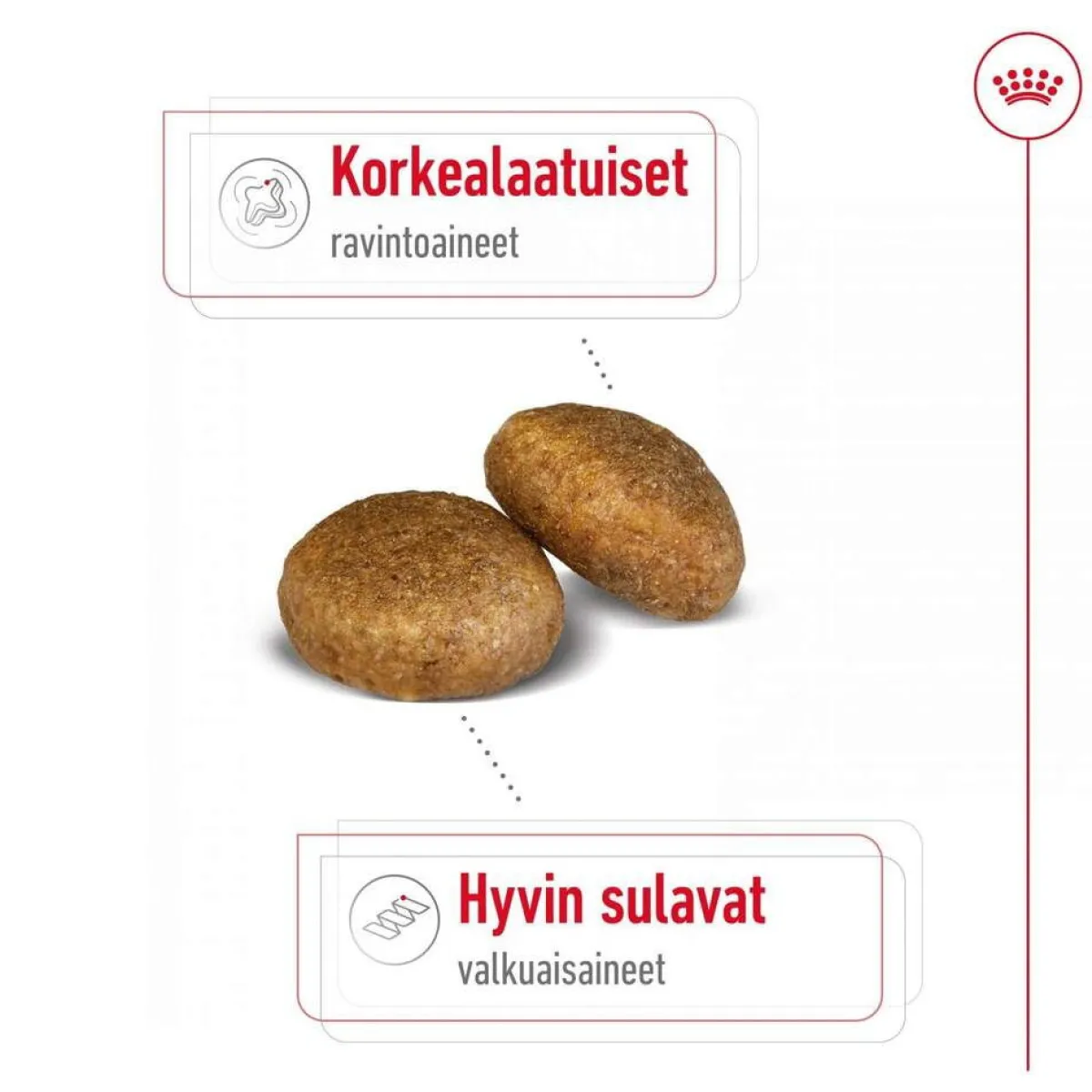 Royal Canin Koiran Kuivaruoka*Maxi Adult 2 x 15 kg