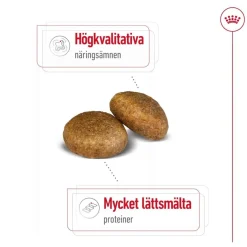 Royal Canin Koiran Kuivaruoka*Maxi Adult 2 x 15 kg